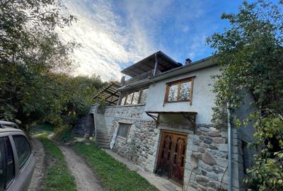 Casă cu 3 camere în Bulz - 2