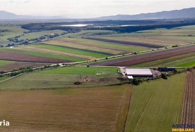 Spațiu comercial, în Rotbav - 5