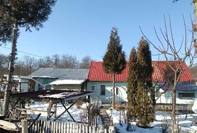 Casă cu 2 camere în Țichindeal - 8