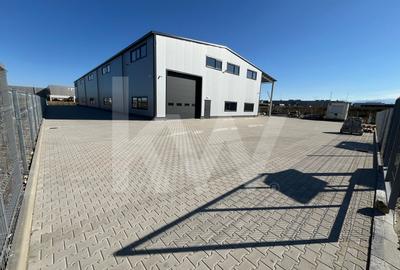 Spațiu industrial, de 1,320 mp, în Exterior Vest - 2