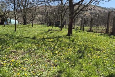 Spațiu comercial, în Luna - 1