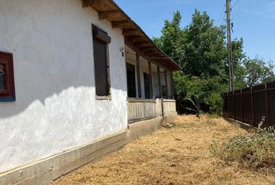 Casa sat Bosneagu - 4