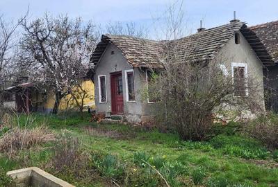 Casă cu 2 camere cu Teren 2000 Mp în Plenița - 5