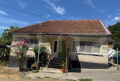 Casa cu 2 camere 53 mp in Lesnic, COMISION 0 PENTRU CUMPARAT - 1