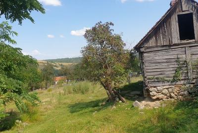 Spațiu comercial, în Ezeriș - 2