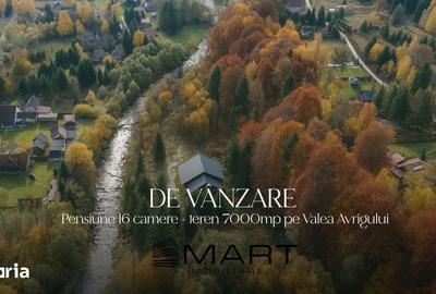 Casă cu Teren 7000 Mp în Porumbacu de Jos - 2