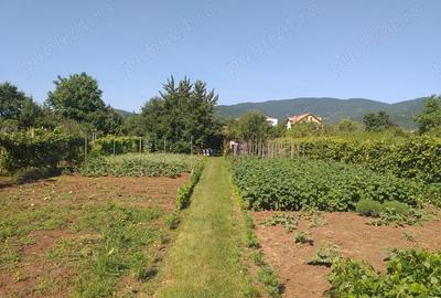 Teren Construcții intravilan de 1400 mp, în Micești - 1