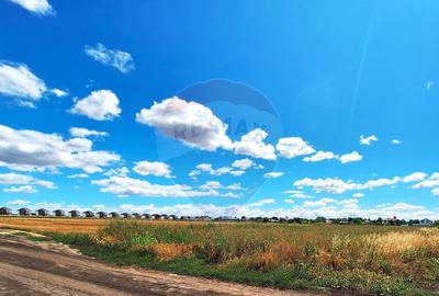 Teren Focsanei / DN sat Focsanei Vadu Pasii - 4