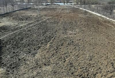 Teren Construcții intravilan de 6342 mp, în Corbeanca - 5