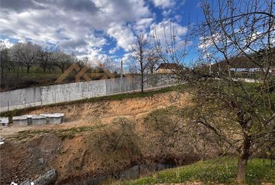 Teren de 5000 mp, în Tăuții-Măgherăuș - 1