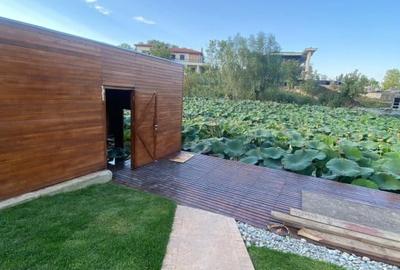 Super ocazie! Vila de vanzare in Snagov, cu deschidere la lac - 11