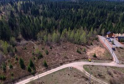 Teren intravilan 2,145mp Calatele Padure, Sat de  Vacanta - 5