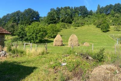 Casă cu 3 camere în Roșia - 4