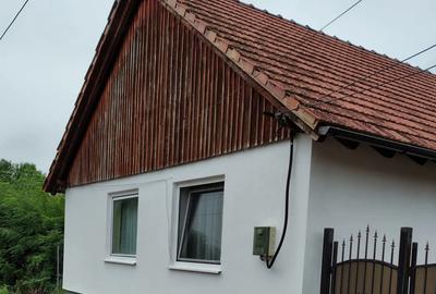 Vand casa si gradina in sat Breazova Jud Timi? - 4