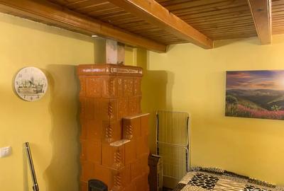 Casa batraneasca renovata de vanzare - 5