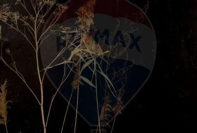 Apartament 2 camere - Bulevardul Ferdinand I,  48mp, Investitie - 8