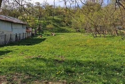 Teren de 2300 mp, în Mihăești - 3