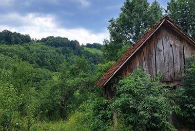 Casă cu 2 camere cu Teren 15000 Mp în Finiș - 5