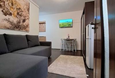 Garsonieră în Pantelimon - 1