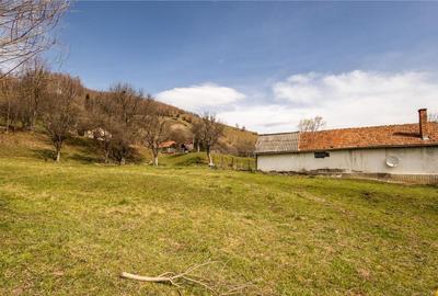 FILM! Pe domeniu de 6.500 mp teren, casa parinteasca, in mag - 6