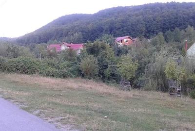 Teren de vanzare, ideal pentru Casa de vacanta/Hotel - 7
