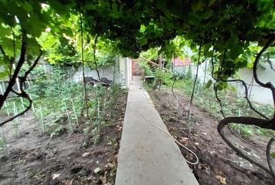 ID 9058 Casa zona CHERCEA, suprafata teren 595 mp - 18