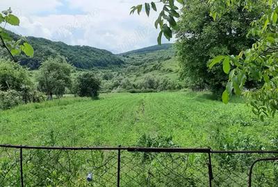 Casa de vanzare Sinpetru Alma?ului, Hida cu teren 6000 mp - 5