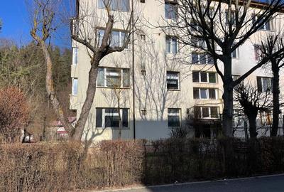 Apartament cu 2 camere în Brebina - 2