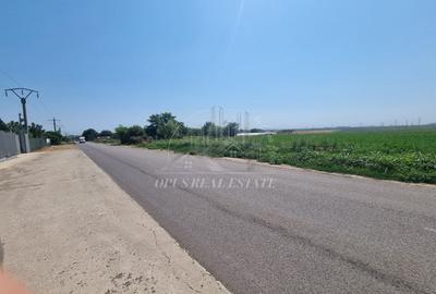 Teren 2ha(langa Ferma Stoian) - 3