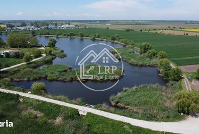 Teren de 10400 mp, în Dascălu - 11