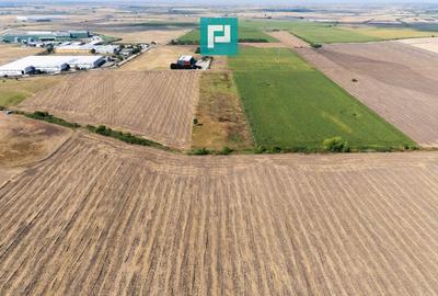 Teren extravilan, zona Freidorf-Șagului, Timișoara Teren extravilan, zona Freidorf-Șagului, Timișoara - 5