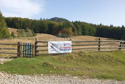 Teren 20000 mp, sat Dalghiu, com Vama Buzaului Teren 20000 mp, sat Dalghiu, com Vama Buzaului - 3