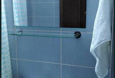 Apartament cu 2 camere decomandat, mobilat în Tătărași - 7