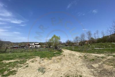 Teren 13.000 mp zona de deal - Aninoasa AG - 3