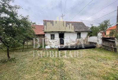 Casa Babsa, comuna Balint 2084mp teren - 11