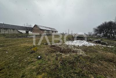 Spațiu industrial, de 1,282 mp, în Mohu - 3