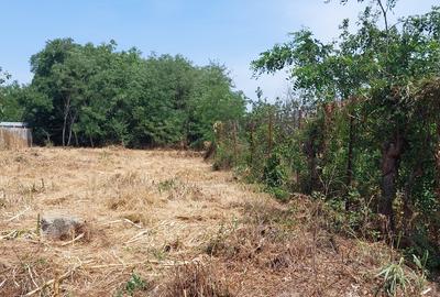 Teren în Chitila - 3