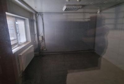 Spațiu comercial, de 1,514 mp, în Șagului - 2