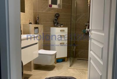 Apartament cu 2 camere semidecomandat, mobilat în Borhanci - 7