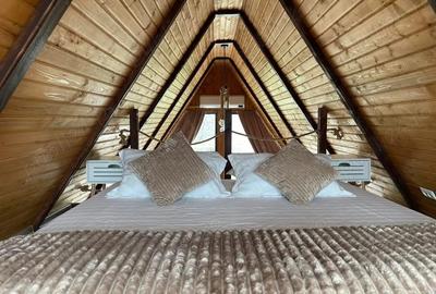 Casă cu Teren 7000 Mp în Aluniș - 6