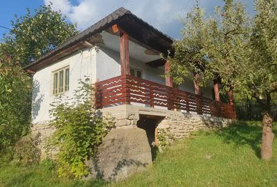 Casa 64 mp util, 2 camere + hol mare refacut, 4.100 mp intravilan - 8