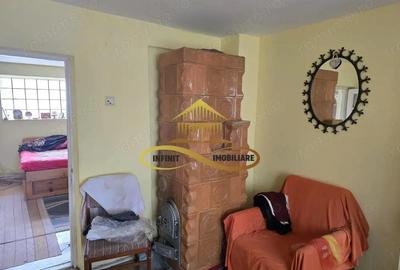 Casa de vanzare cu 5000 mp teren in Parincea cu livada si iaz - 7