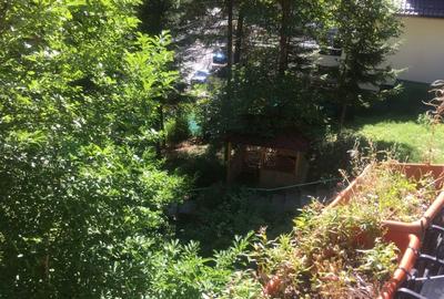 Casa si teren 1000 mp, Sinaia, zona excelenta, pe Furnica, langa Peles - 7