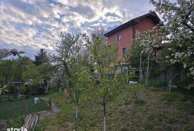 Casă cu 5 camere cu Teren 1000 Mp în Dâmbu Pietros - 13