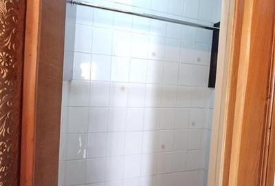 3 camere - 2 bai - Str. Viorele - Timpuri Noi - Tineretului - 12