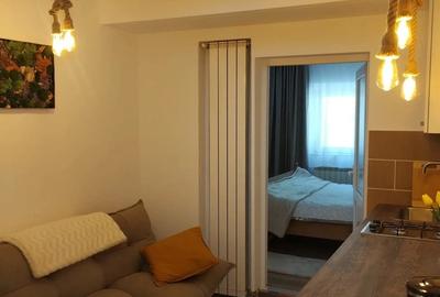 Casă individuală cu 1 camere cu Teren 44 Mp în Schei - 4