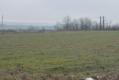 Teren de 9000 mp, în Central - 6