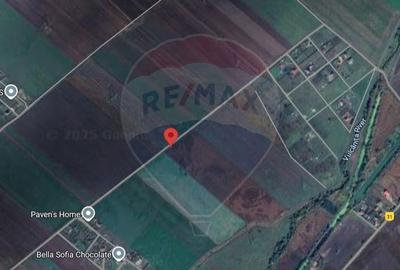 Teren 10.875 MP | Halchiu |  Jud. Brasov - 4
