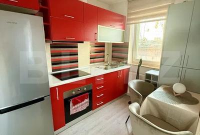 Apartament cu nisa de dormit, zona iulius mall - 3