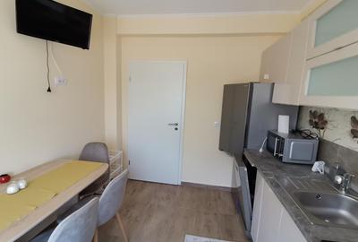 Apartament cu 3 camere decomandat, mobilat în Turnișor - 8
